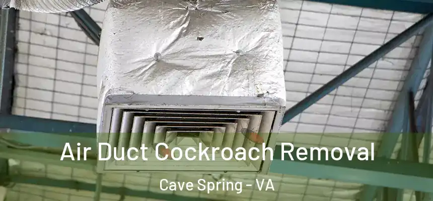 Air Duct Cockroach Removal Cave Spring - VA