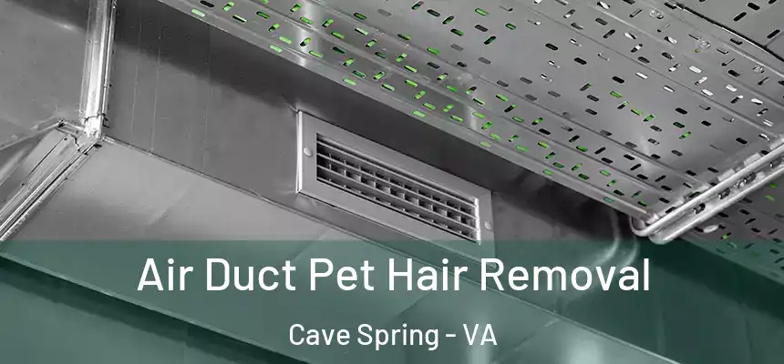 Air Duct Pet Hair Removal Cave Spring - VA