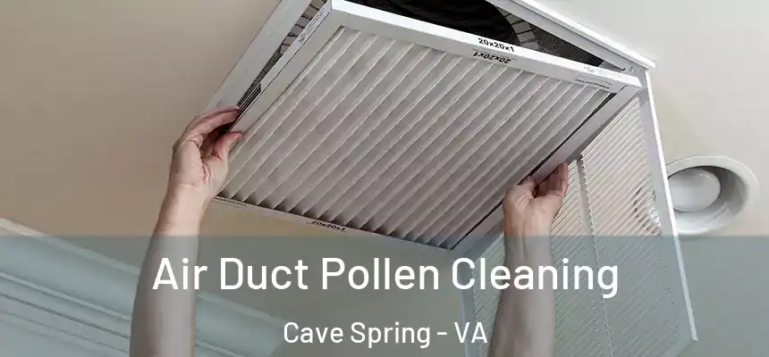 Air Duct Pollen Cleaning Cave Spring - VA