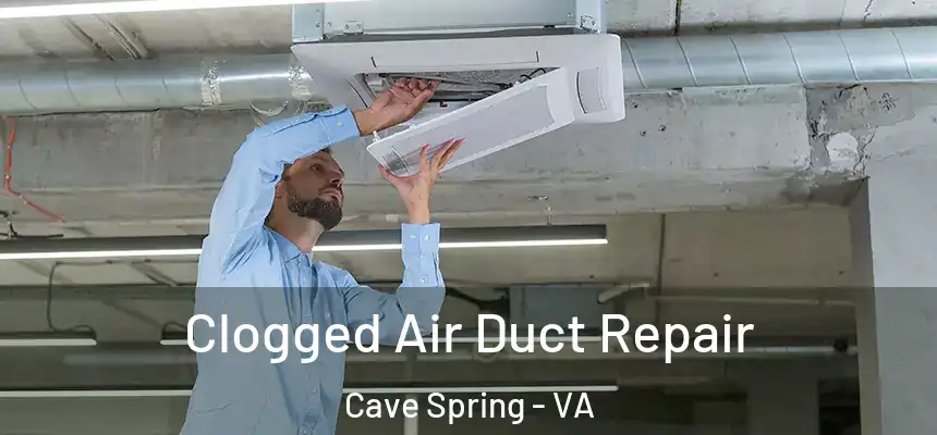  Clogged Air Duct Repair Cave Spring - VA