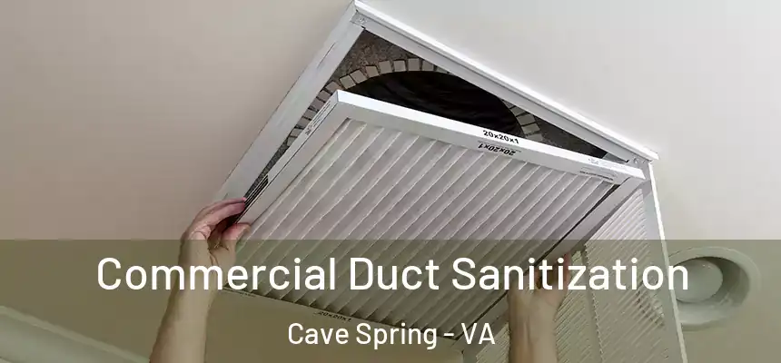 Commercial Duct Sanitization Cave Spring - VA