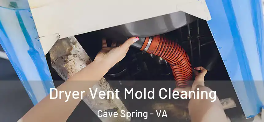  Dryer Vent Mold Cleaning Cave Spring - VA