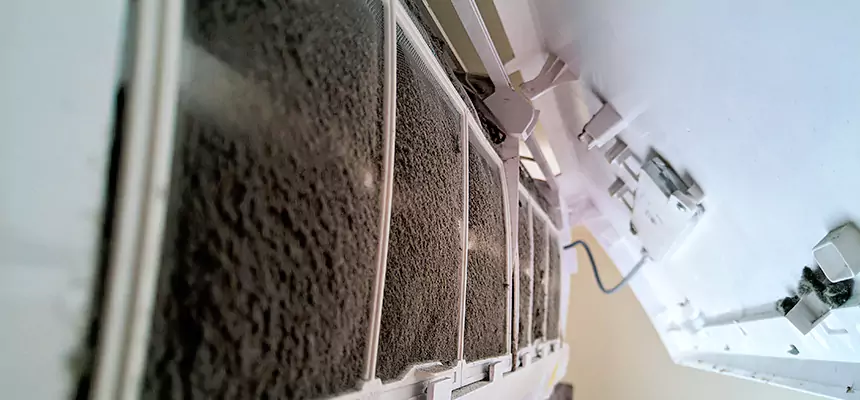 Preventive Air Duct Bacteria Removal in Cave Spring