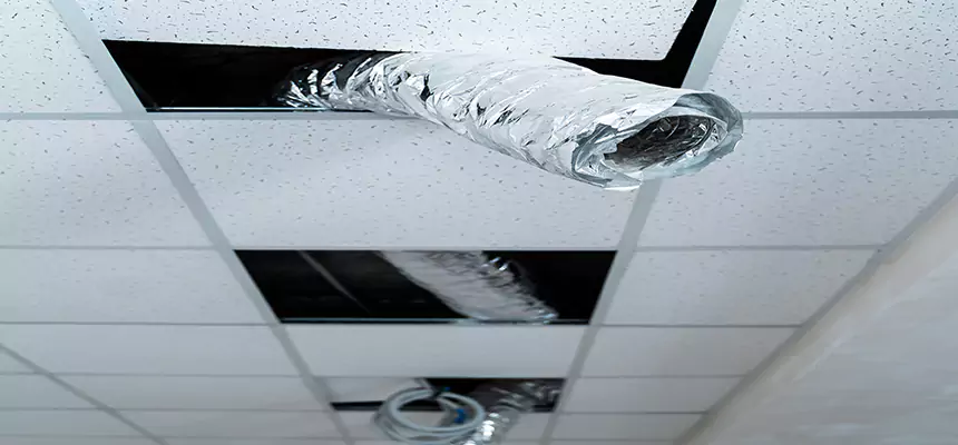 Our Air Duct Pet Hair Removal Services in Cave Spring, VA