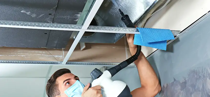 Our Air Duct Rodent Removal Services in Cave Spring, VA