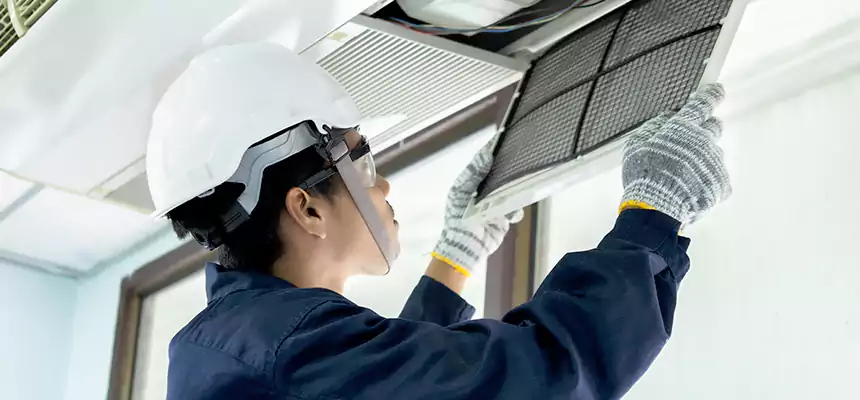 Our Mold & Mildew Removal from Air Ducts Services in Cave Spring, VA