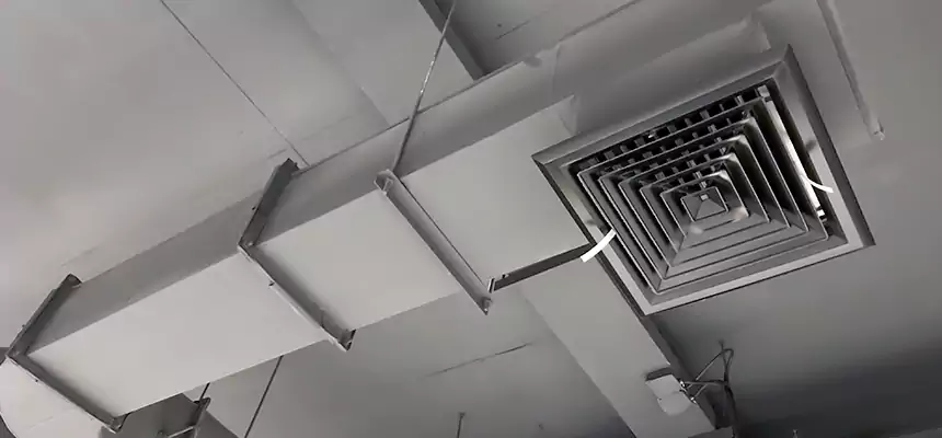 Our Pest Removal From Ducts Services in Cave Spring, VA