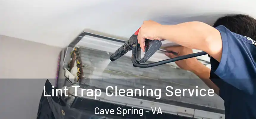  Lint Trap Cleaning Service Cave Spring - VA
