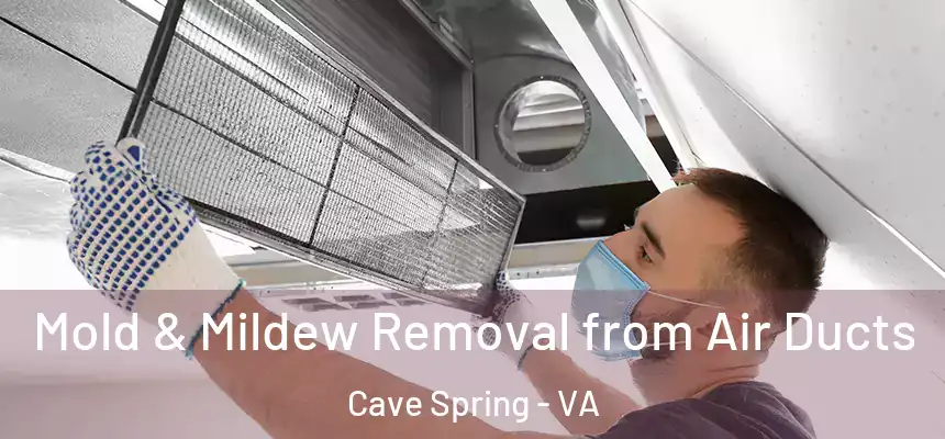 Mold & Mildew Removal from Air Ducts Cave Spring - VA