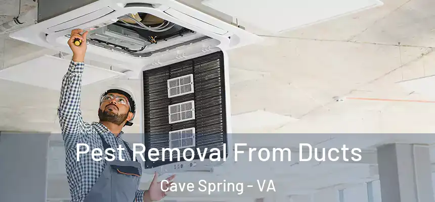 Pest Removal From Ducts Cave Spring - VA