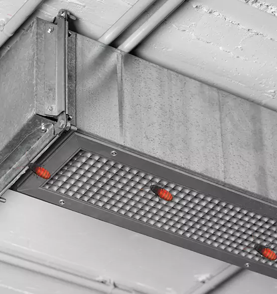 About Air Duct Cockroach Removal in Cave Spring, VA