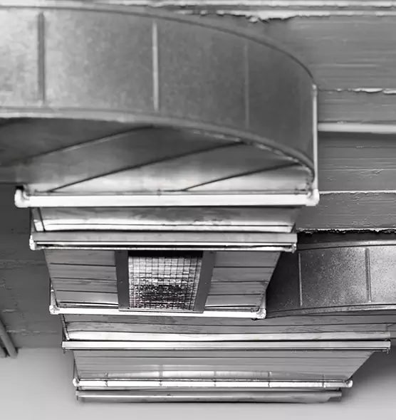 Professional Air Duct Pet Hair Removal in Cave Spring, VA