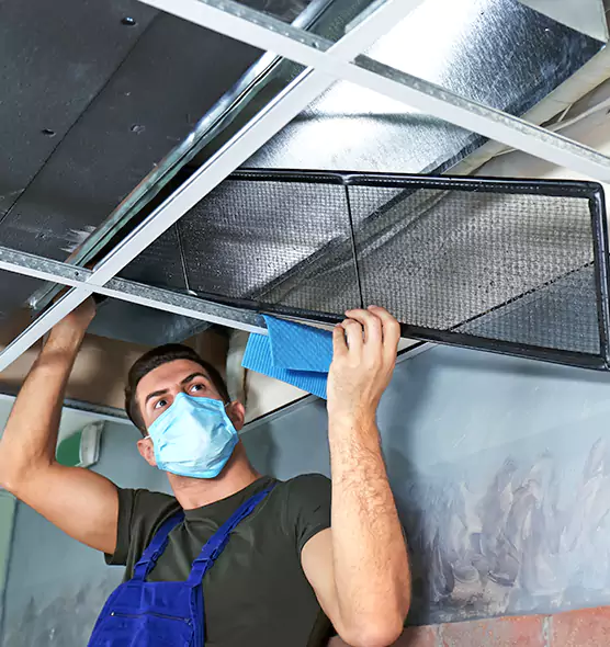Professional Air Duct Pollen Cleaning in Cave Spring, VA