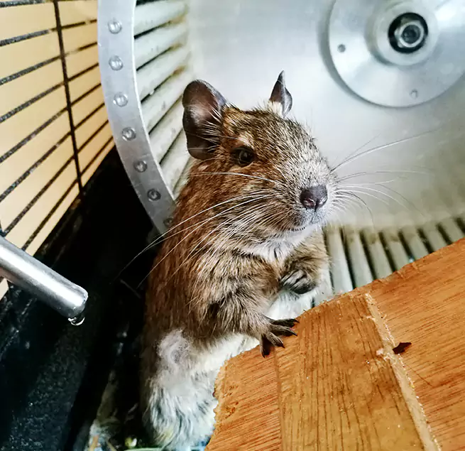 Why Homeowners & Businesses Trust Us Cave Spring, VA?