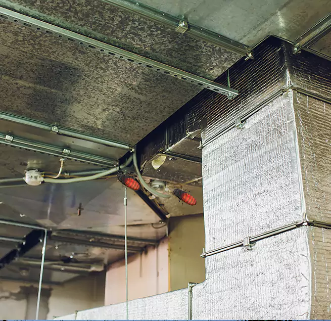 Why Homeowners & Businesses Trust Us Cave Spring, VA?